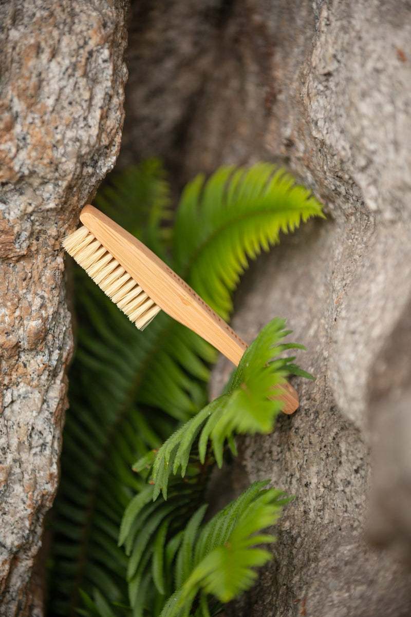 Load image into Gallery viewer, Vegan Plastic Free climbing hold brush, natural
