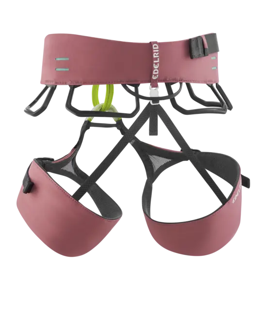 Chargez l&#39;image dans la visionneuse de la galerie, Edelrid Autana II Women&#39;s climbing harness, rear view
