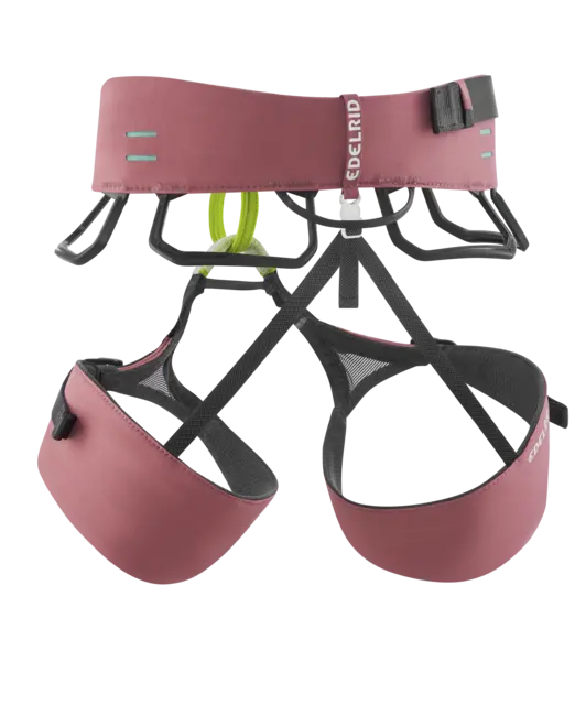 Edelrid Autana II Women's climbing harness, rear view